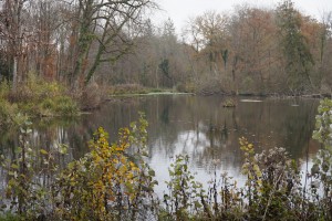 Domaine départemental de Montauger à Lisses