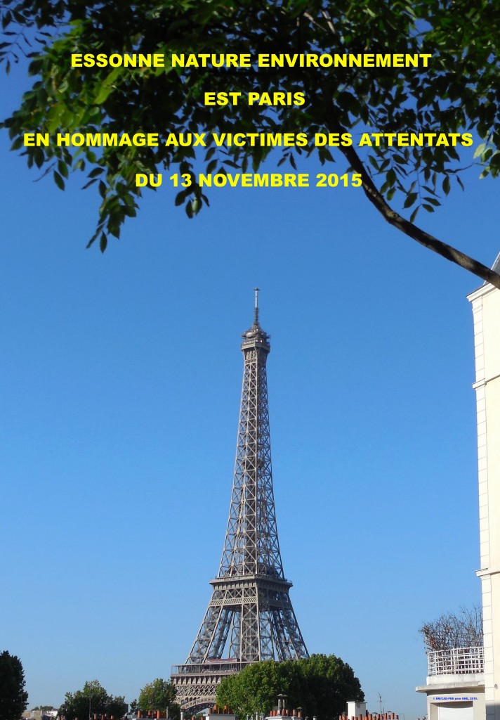 Essonne Nature Environnement est Paris en hommage aux victimes des attentats du 13 novembre 2015. © Photographie BM/CAD-PEE pour ENE, 2015. ENE EST PARIS
