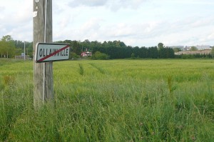 ollaiville 1
