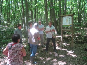 La forêt du Val-Saint-Germain. © Jean-Pierre MOULIN, ENE. IMG_7222