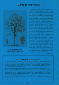 © ENE, Environnement 91, n° 11, 1994 p. 20. Environnement 91 - n11 - 1994 p.20