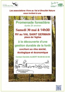 15 05 12 AFFICHE PROMENADE FORESTIERE
