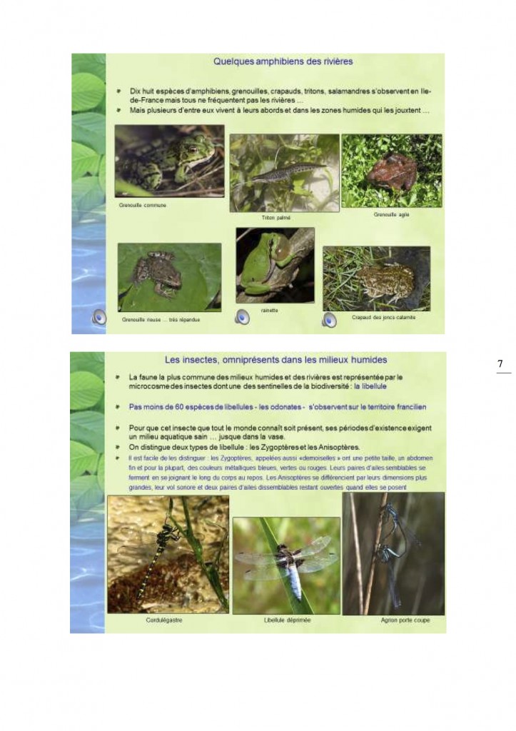 FNE IDF CR EAU 16 mai 2015 7